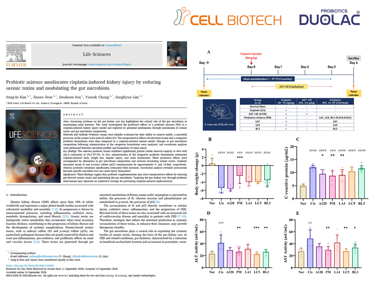Provided by Cell Biotech
