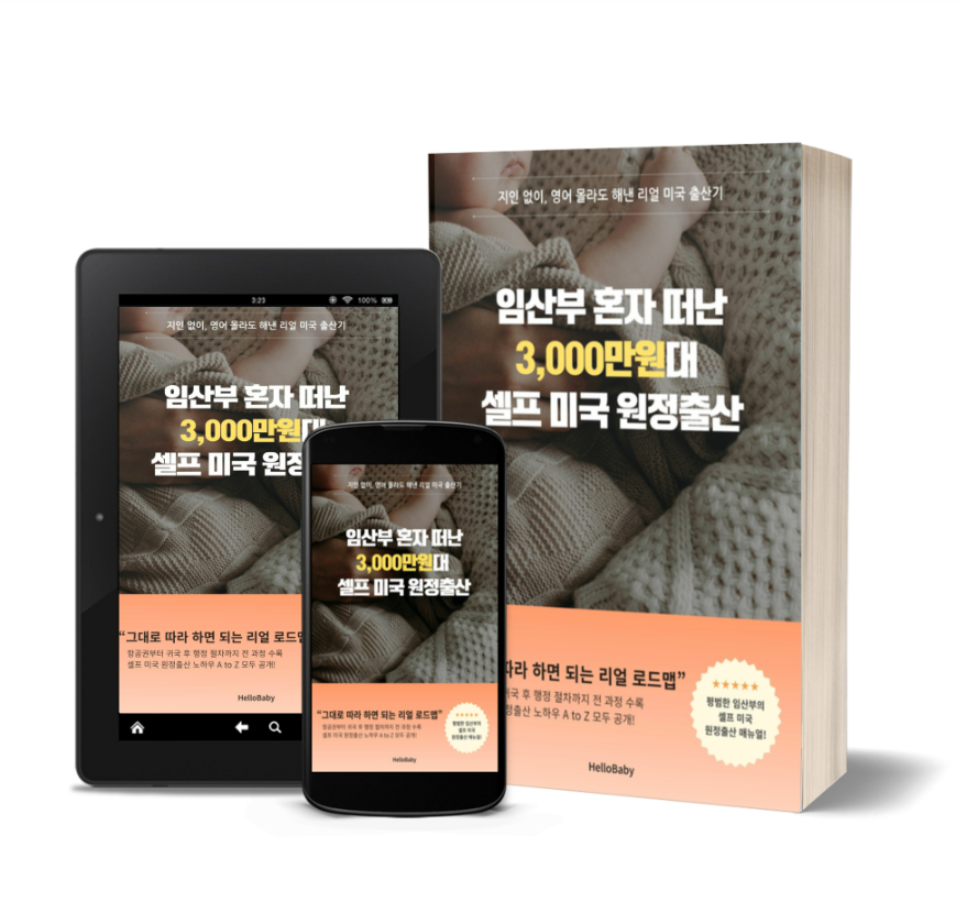 A screenshot shows the online sales page for a 350,000 won e-book written by a Korean mother offering guidance on giving birth in the US. (Online communities)