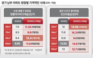 경기 남부선 중소형이 대형 집값 앞질러