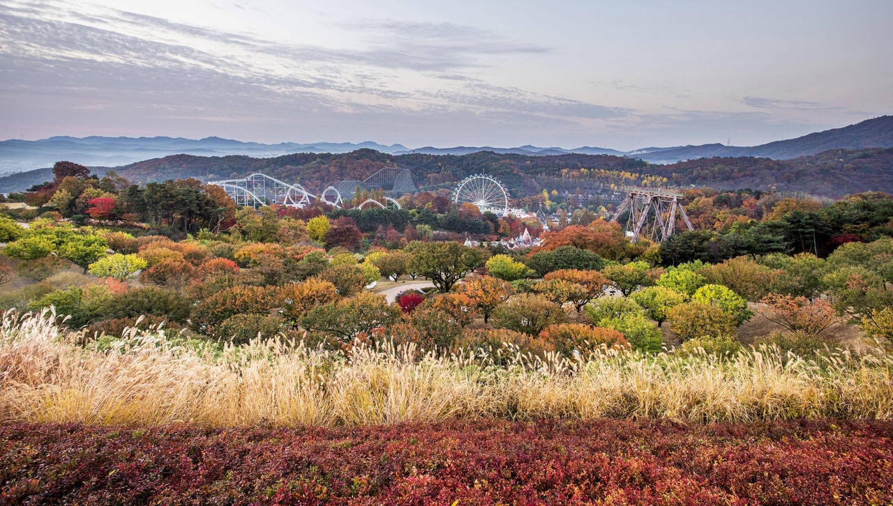 The Everland complex is already ablaze with autumn color, with the full foliage season set to begin this weekend and peak color expected from late October through early November. Pictured is the fall foliage view looking down from the summit of Everland's Sky Garden Path. [Everland]