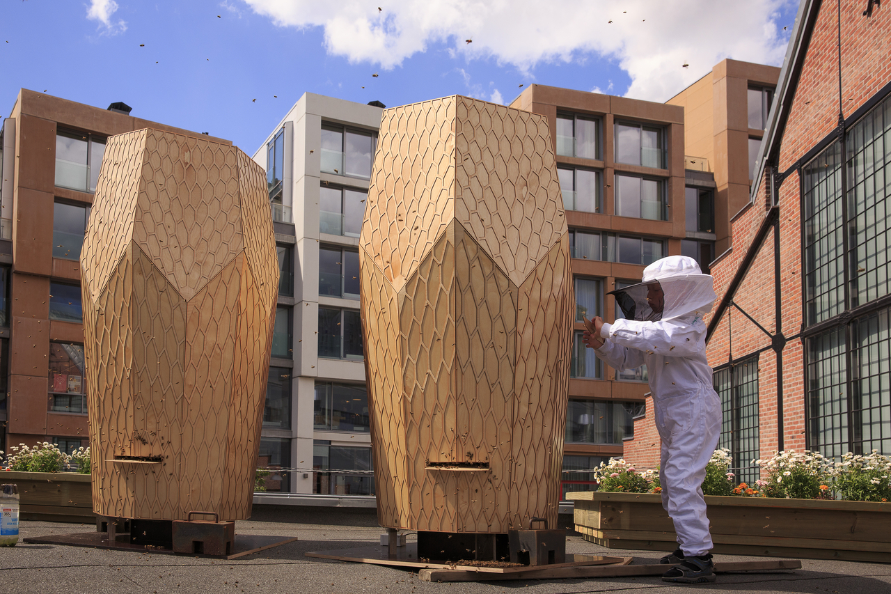 Vulkan Beehives (Morten Brakestad)