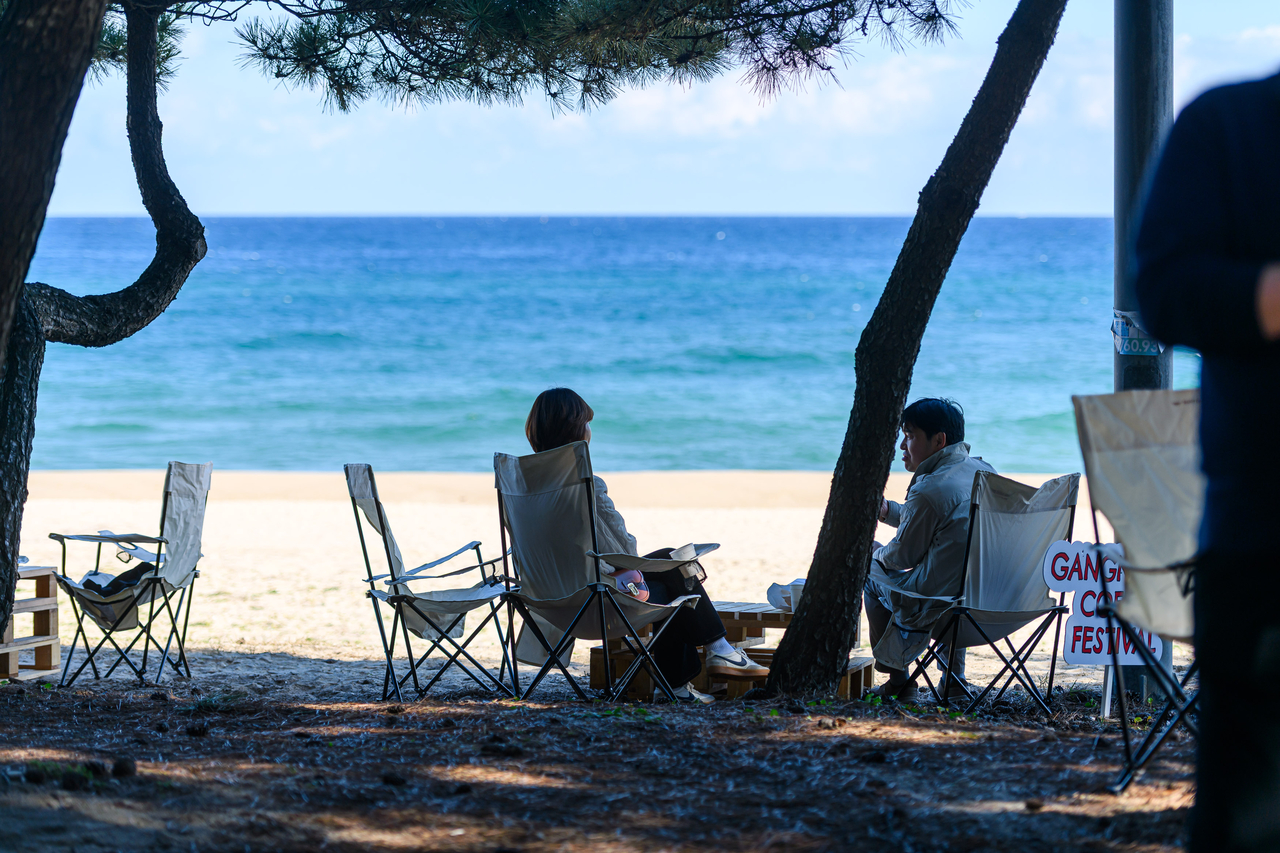 Pine forest in Songjeong Beach (Gangneung Coffee Festival)