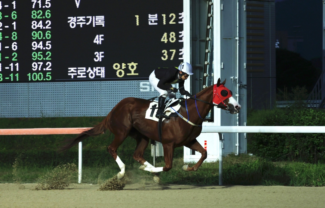 서승운 기수가 지난 16일 렛츠런파크 부산경남 제9경주에서 ‘금아어뎁트’에 기승해 1000승을 달성하는 장면.
