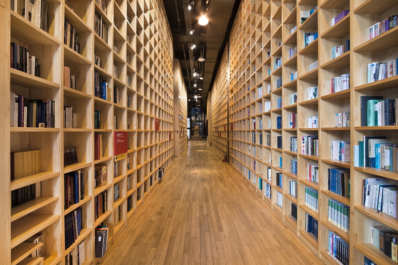 Forest of Wisdom (Book City Culture Foundation)