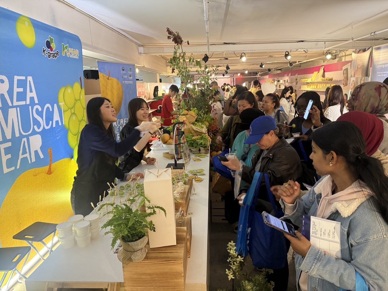 미국 뉴욕 맨해튼에서 지난 15~18일 열린 ‘꿈 페스티벌(Koom Festival)’에서 현지 소비자들이 한국산 샤인머스캣과 배를 시식하고 있다. [한국농수산식품유통공사]