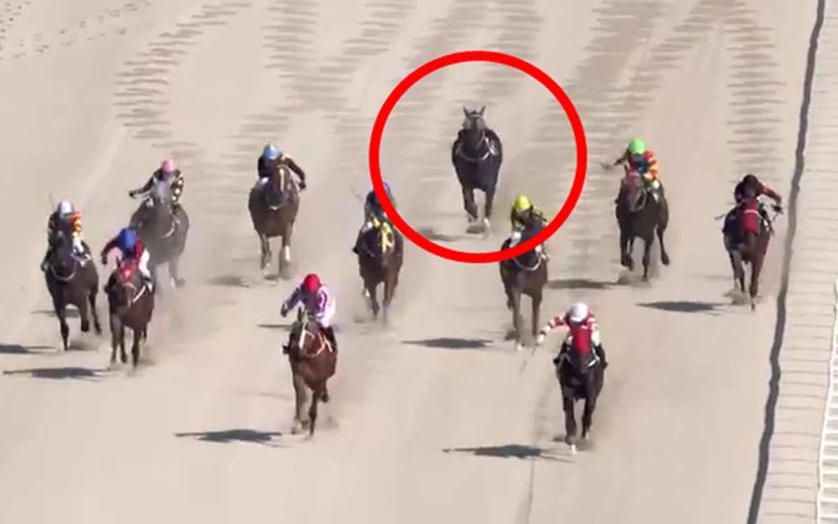 No. 7 horse Narsha Victor races without a jockey during the first race at Seoul Racecourse on Oct. 10. [Yonhap]