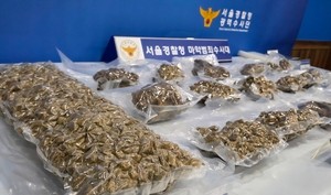 세상&