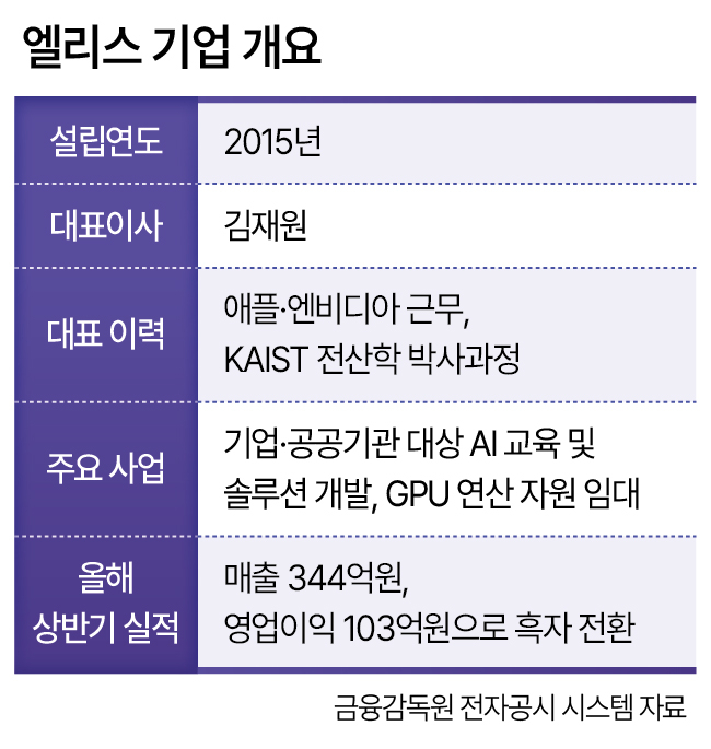 엘리스 기업 개요