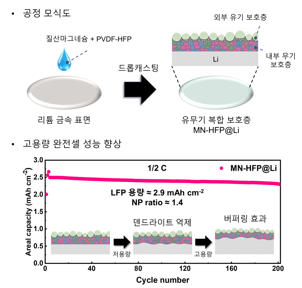 The fabrication process for the lithium metal protective layer and the resulting battery performance. [Provided by GIST]