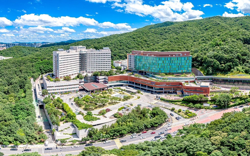 Bundang Seoul National University Hospital [The Herald Business]