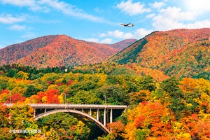 Jejuair to launch Incheon–Sendai route in January, expanding Japan regional network