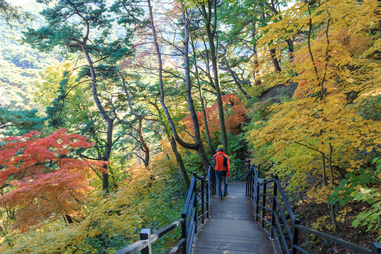 A trail along Chiaksan mountain in Wonju
