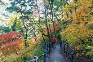 Wonju bets on sleep and recovery to build wellness tourism brand