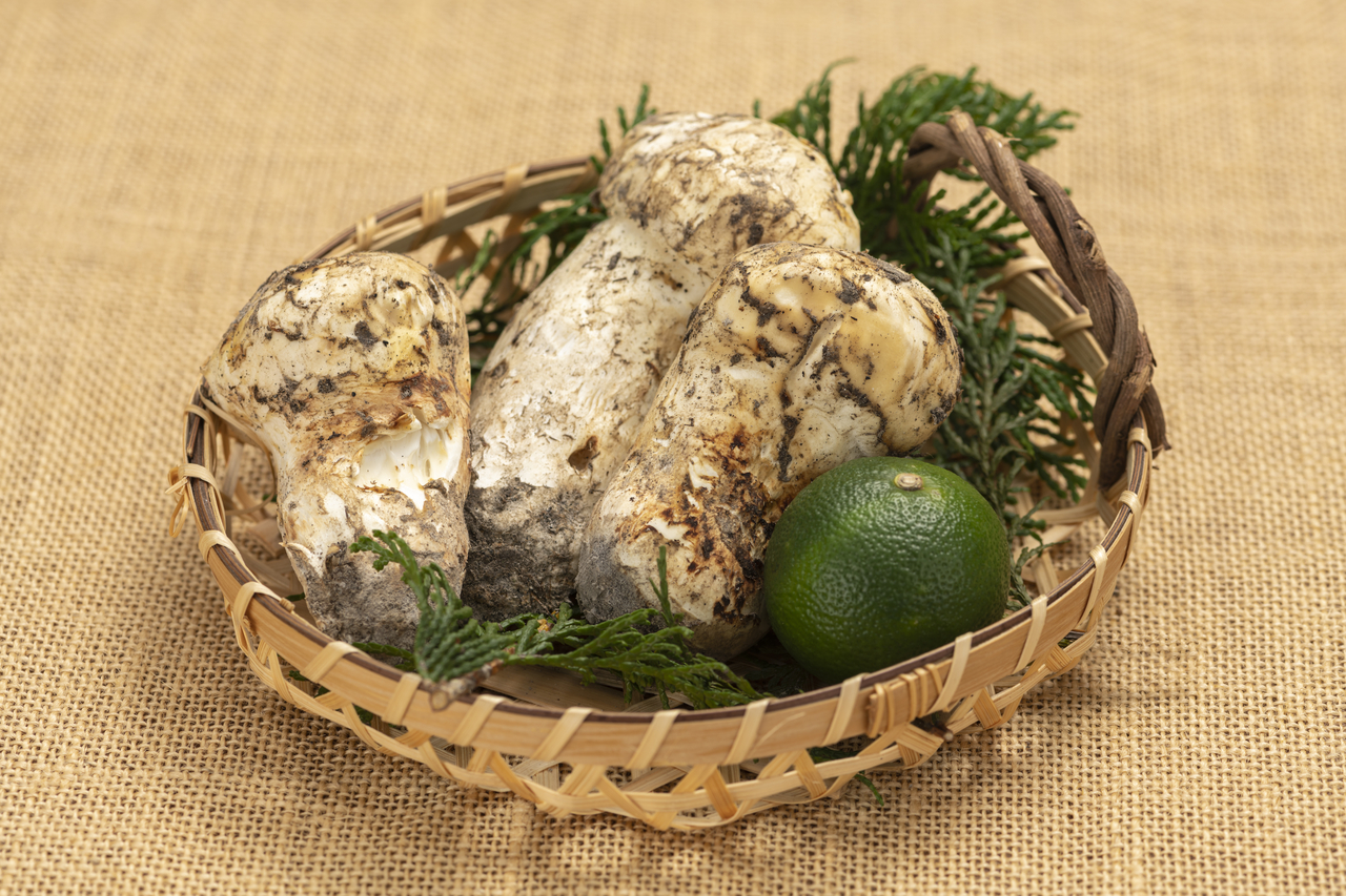 Pine mushrooms. [Getty Images Bank]