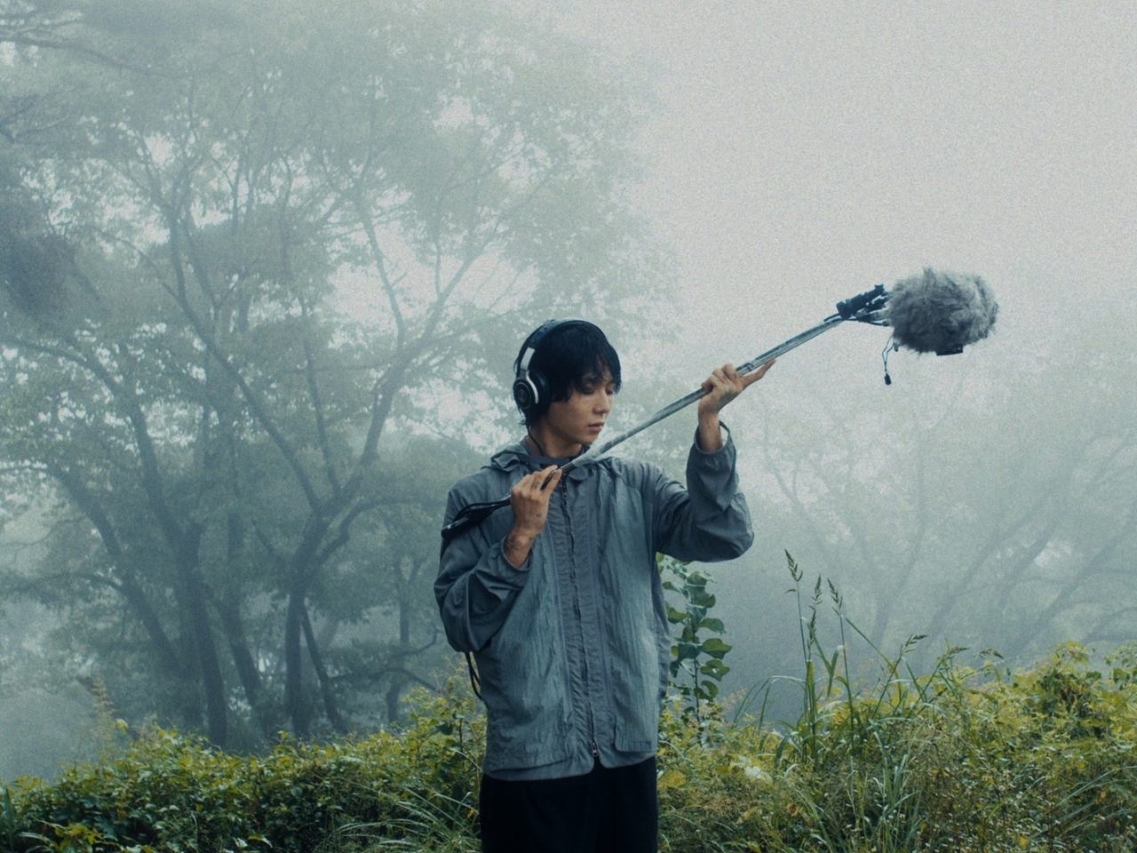 DAWN collects sounds in a 500-year-old forest. [Provided by DAWN]