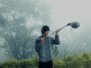 DAWN captures 500 years of forest in sound with debut ambient album