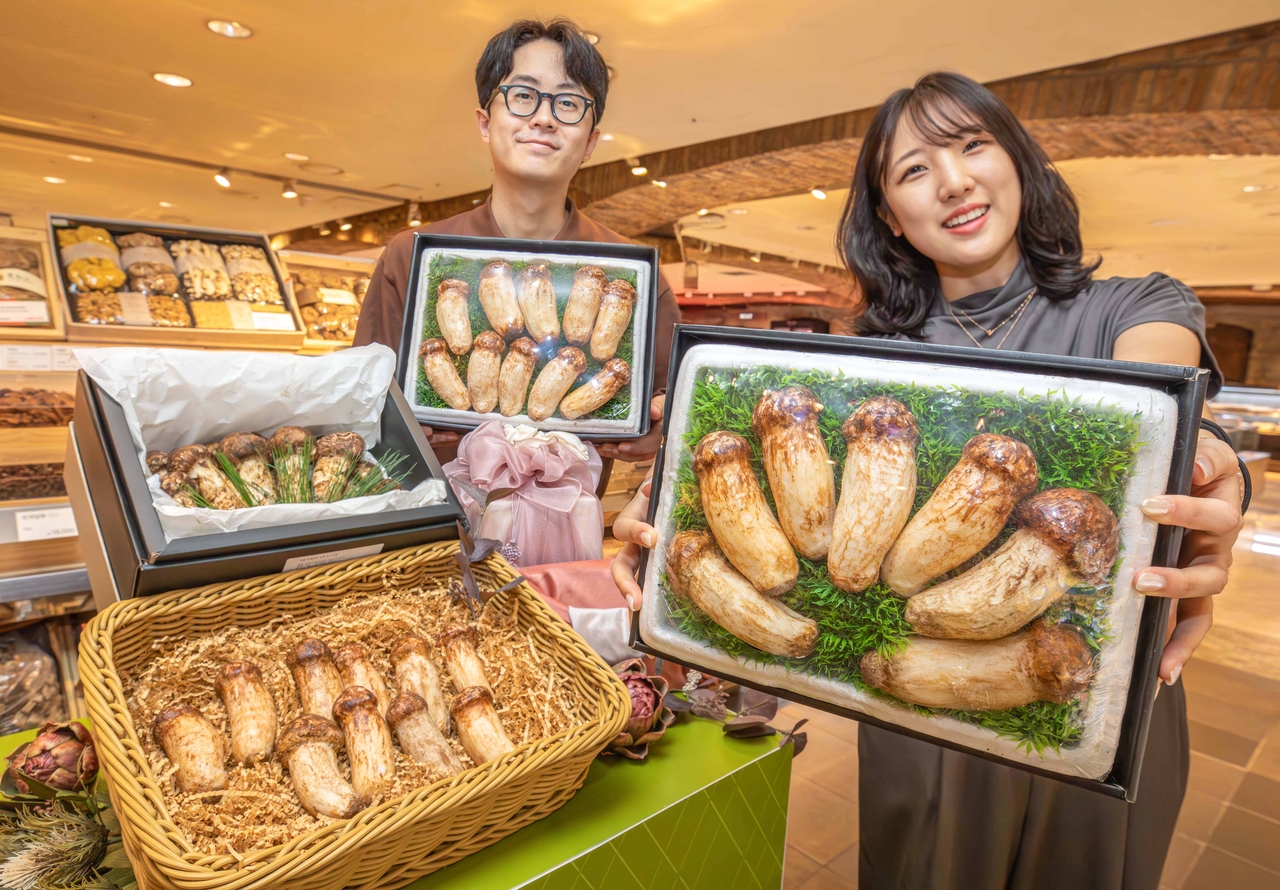 Models present Hyundai Department Store's chuseok gift sets featuring domestically grown natural pine mushrooms. [Provided by Hyundai Department Store]