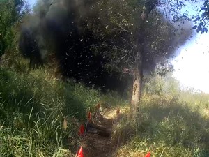 N. Korea estimated to have laid 960,000 mines in DMZ since 2024