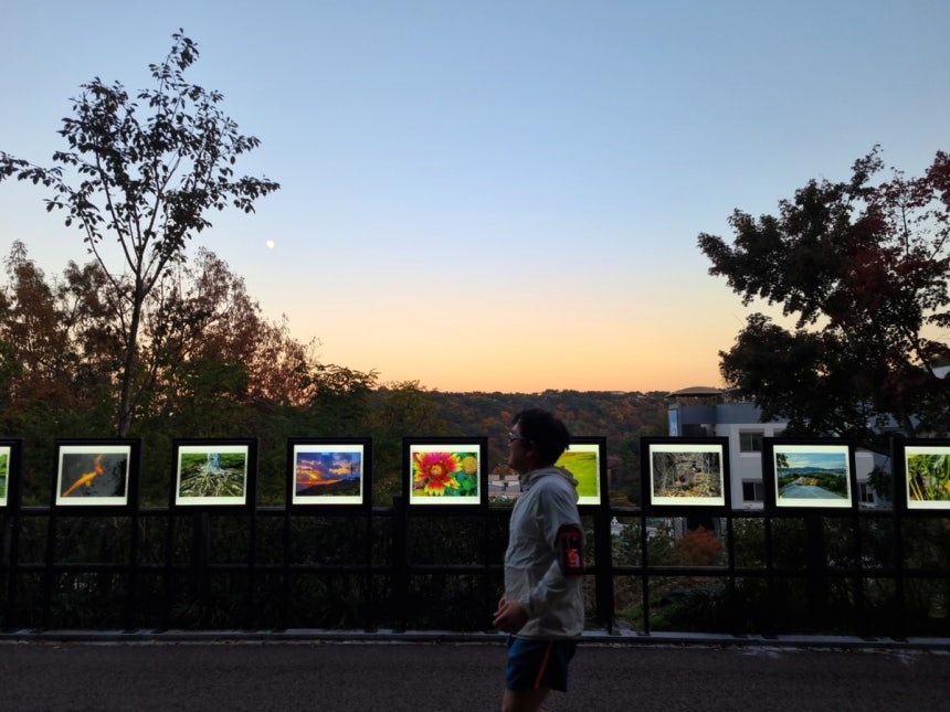 A park photo exhibition on display along the Namsan Dulle-gil trail at Namsan Park. [Seoul Metropolitan Government]
