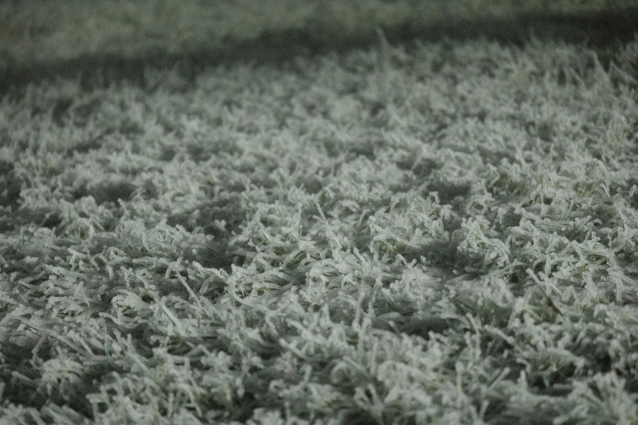 Brown meadows give way to a white snowfield