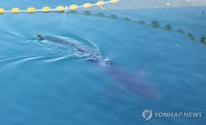 세상&
