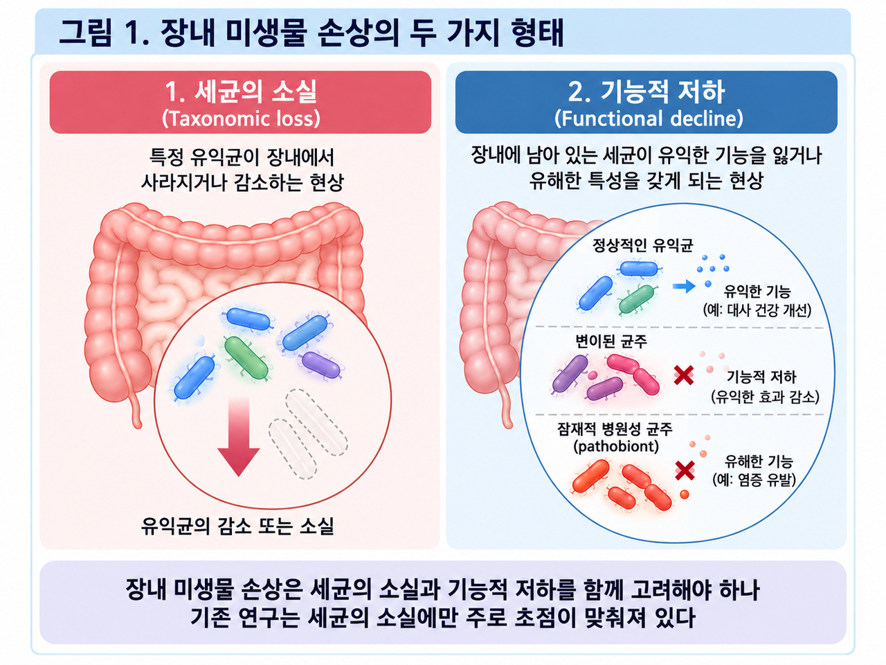 장내 미생물 손상의 두 가지 형태.[고려대학교 제공]