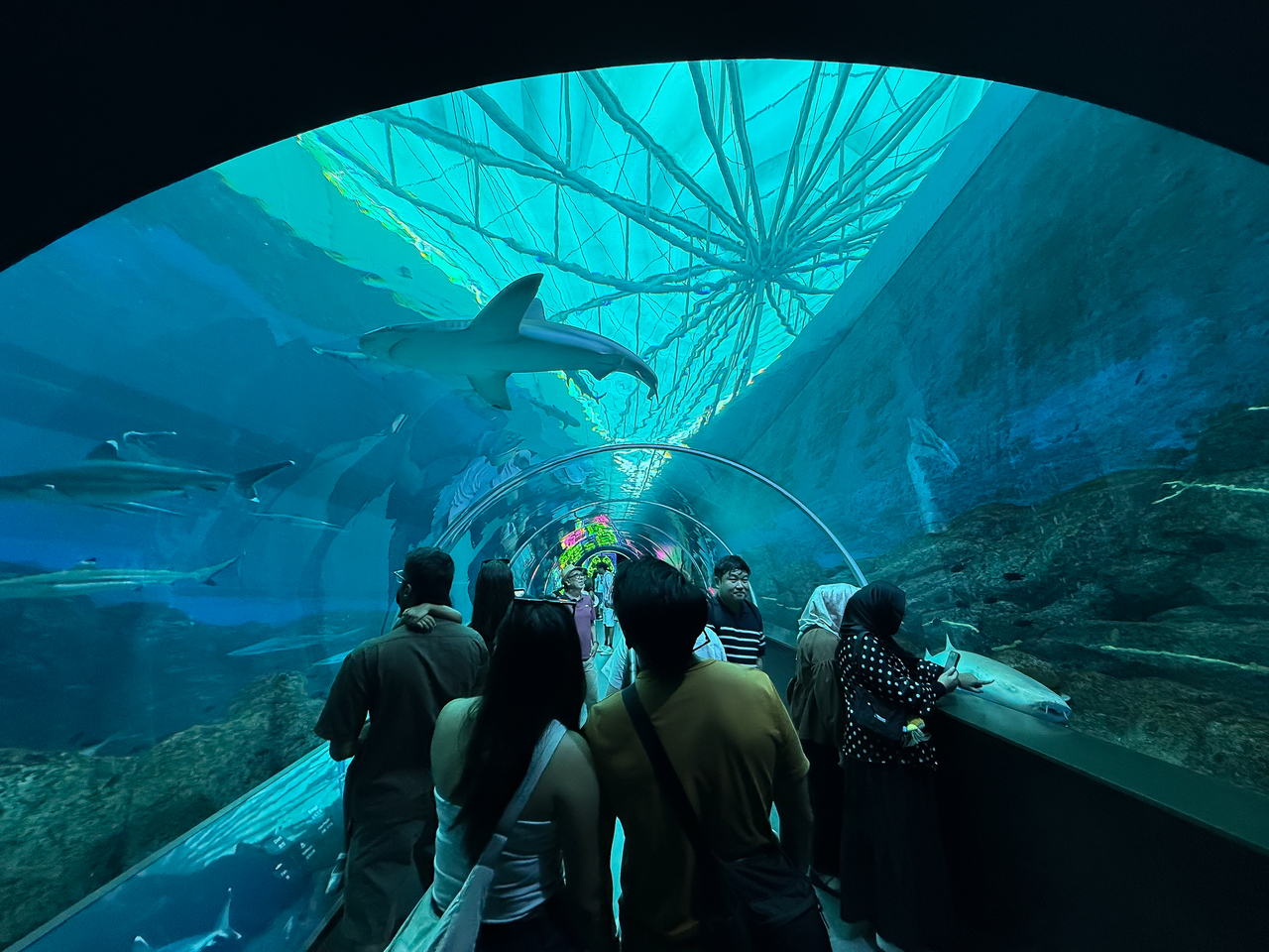 Tourists walk through a large underwater tunnel at Singapore Oceanarium. [Kim Myung-sang]