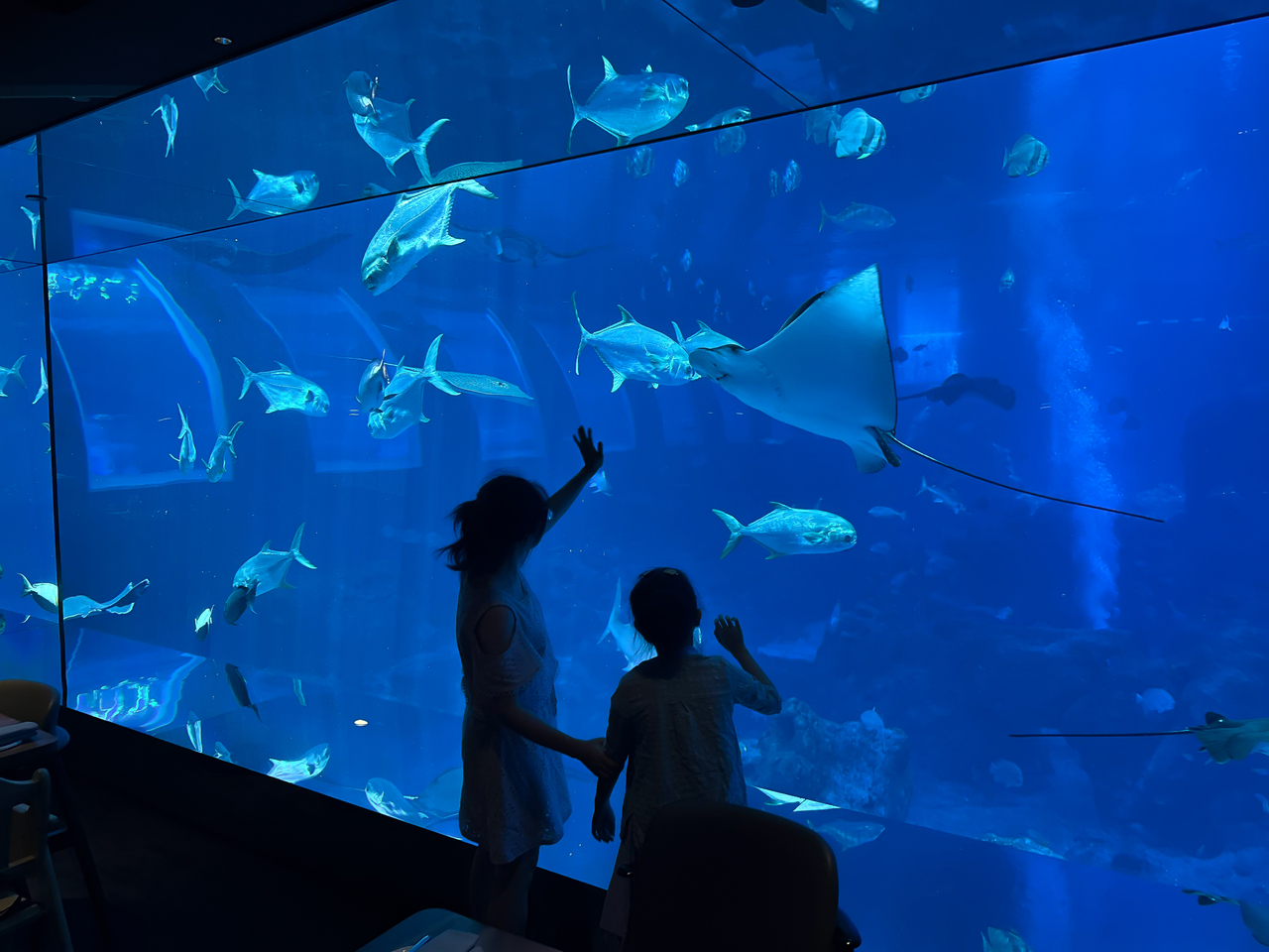 Visitors observe marine life through the large aquarium window at Ocean Restaurant. [Kim Myung-sang]