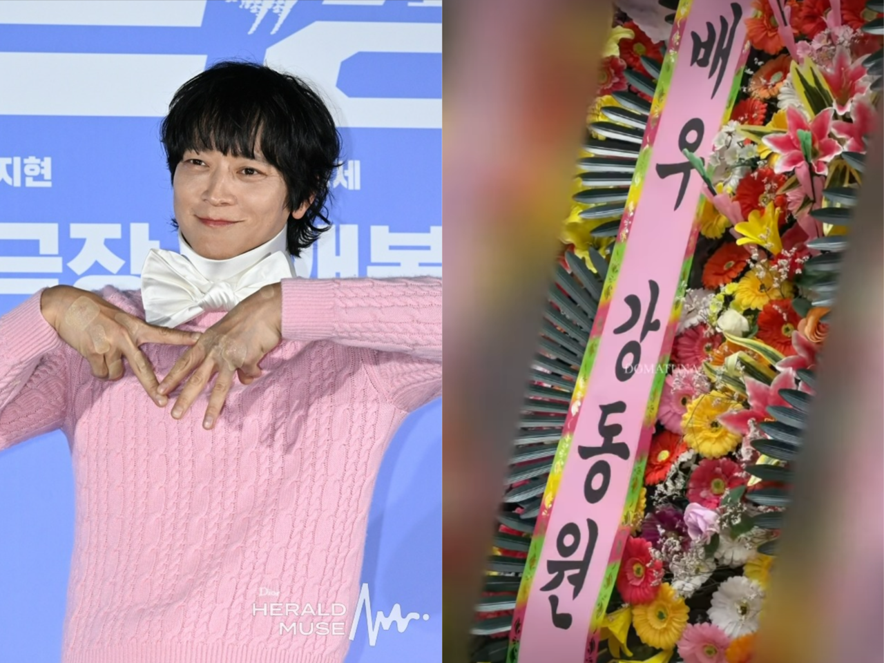사진=헤럴드뮤즈DB, SNS 캡처