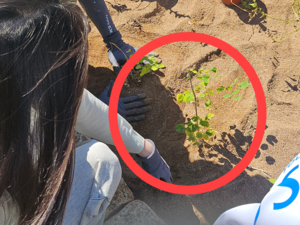 지구, 뭐래?