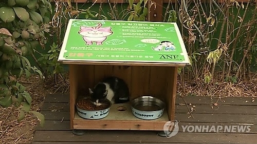 길고양이 급식소 [연합]