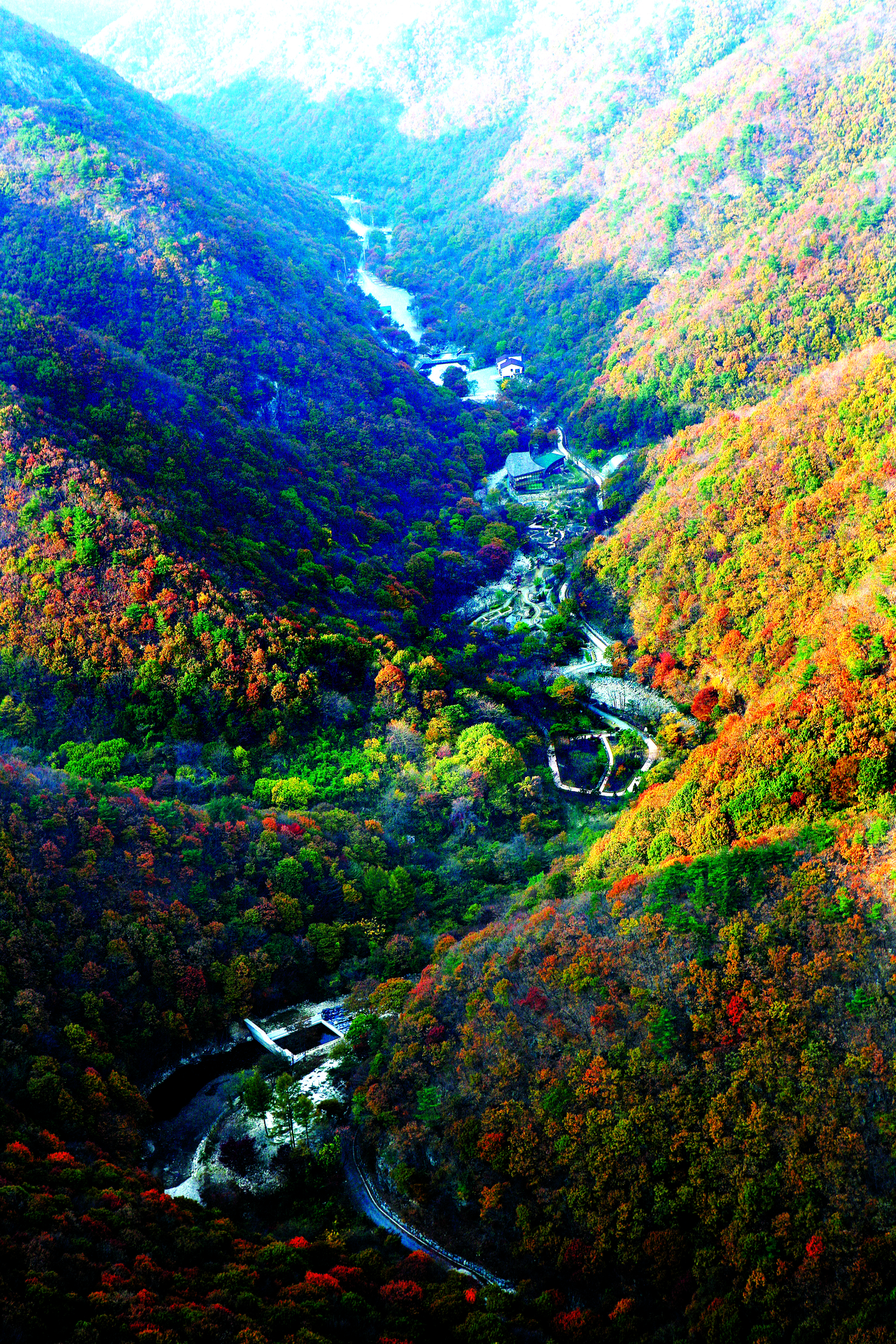 충남 금산 남이자연휴양림 전경.