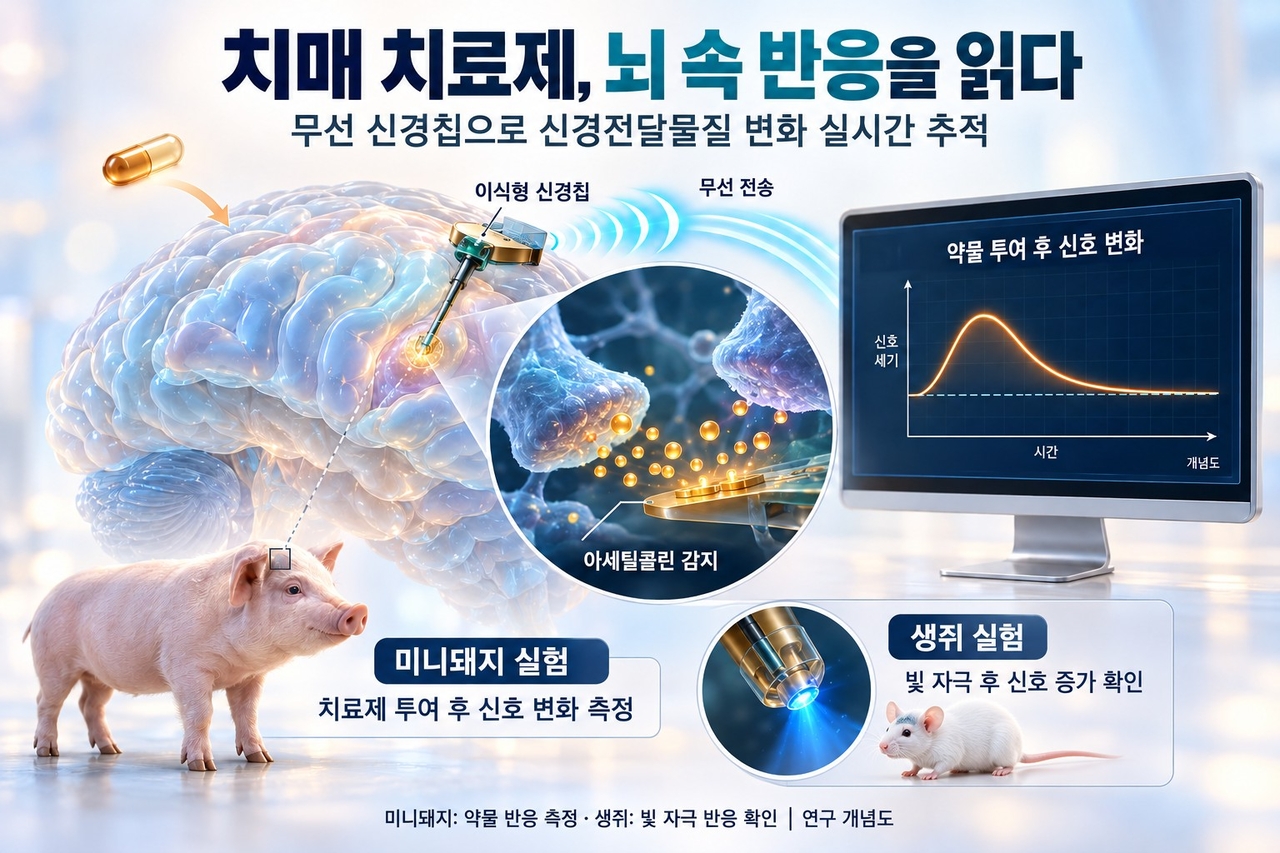 A schematic diagram of the research findings (AI-generated image). [Provided by KAIST]