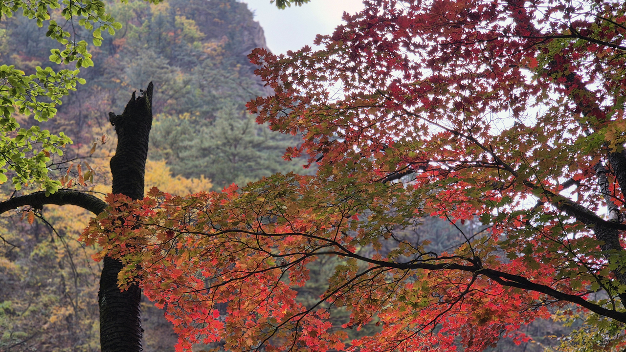 A view of the Seoraksan National Park in Gangwon Province, Sunday (Yonhap)