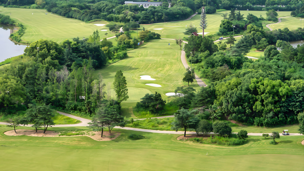 An aerial view of golf course with green grass and trees in the background. This photo is not related to the story. (123rf)