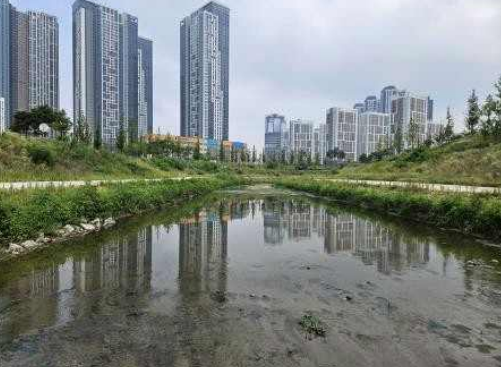 구피가 발견된 서정리천.[국립생태원 ‘2025년 외래생물 전국 서식실태조사’ 보고서 갈무리]