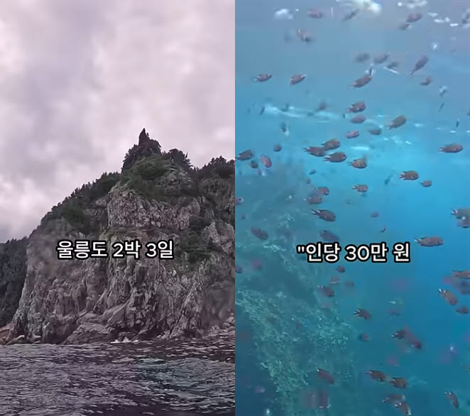 A screenshot from the fake YouTube video alleging that tourists on Ulleungdo were coerced into purchasing local specialty products. [YouTube]