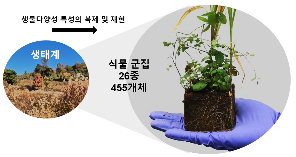 실제 생태계의 식물 군집을 실험실에 재현한 모습.[국가독성과학연구소 제공]