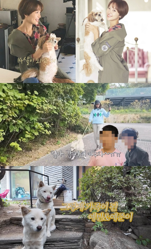 황정음 유튜브 캡처