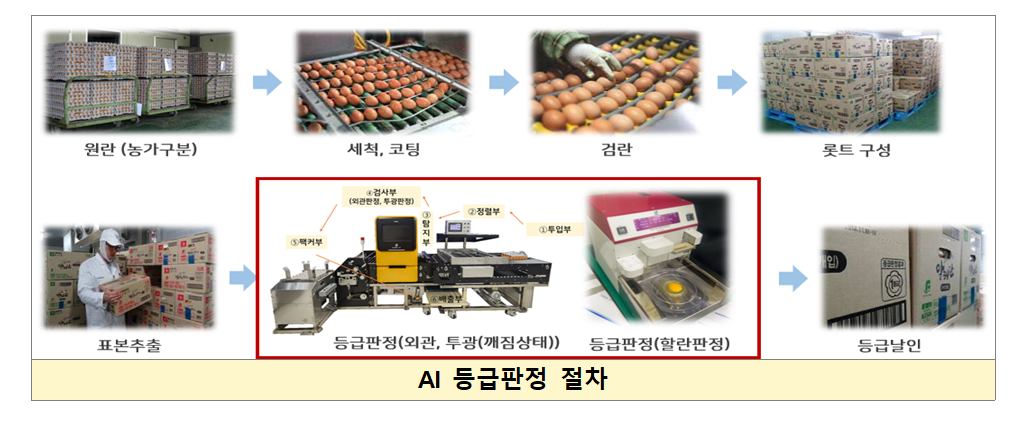 A diagram showing the AI-based egg grading process. [Korea Institute for Animal Products Quality Evaluation]
