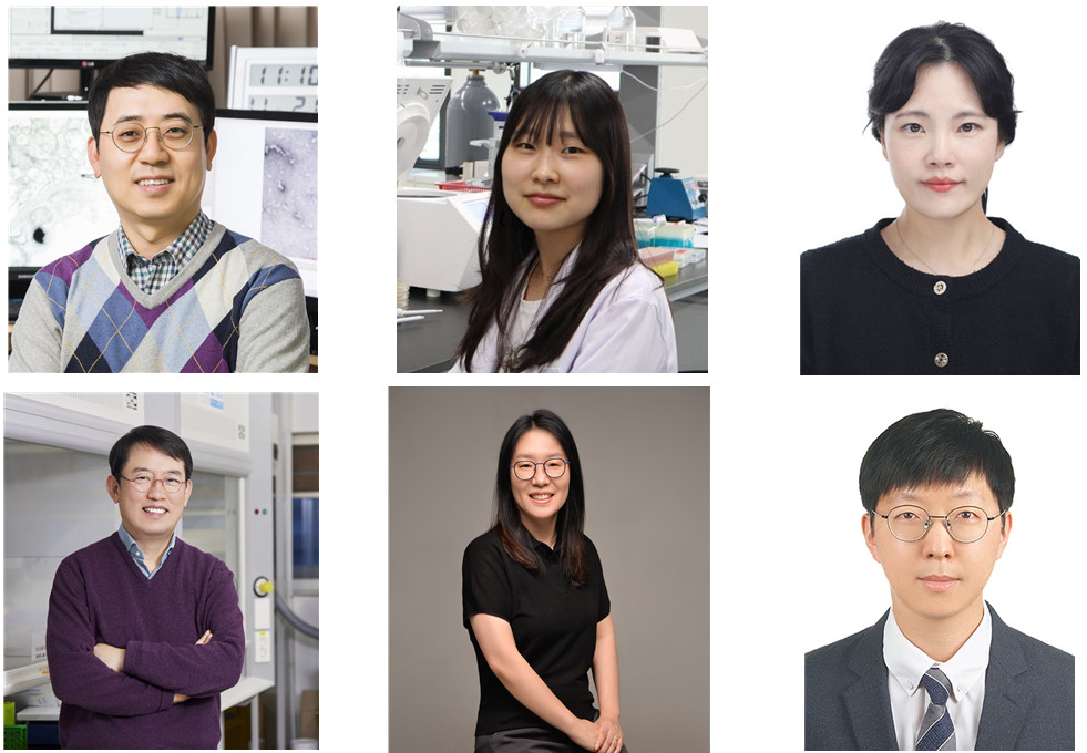 이번 연구를 수행한 공동연구진. 김호민(윗줄 왼쪽부터) KAIST 생명과학과 교수, 김소현, 안진숙, 주상현  이노코어 AI-CRED 혁신신약연구단 박사, 이민희 토르 테라퓨틱스, 송민호 KAIST 의과학대학원 교수.[KAIST 제공]