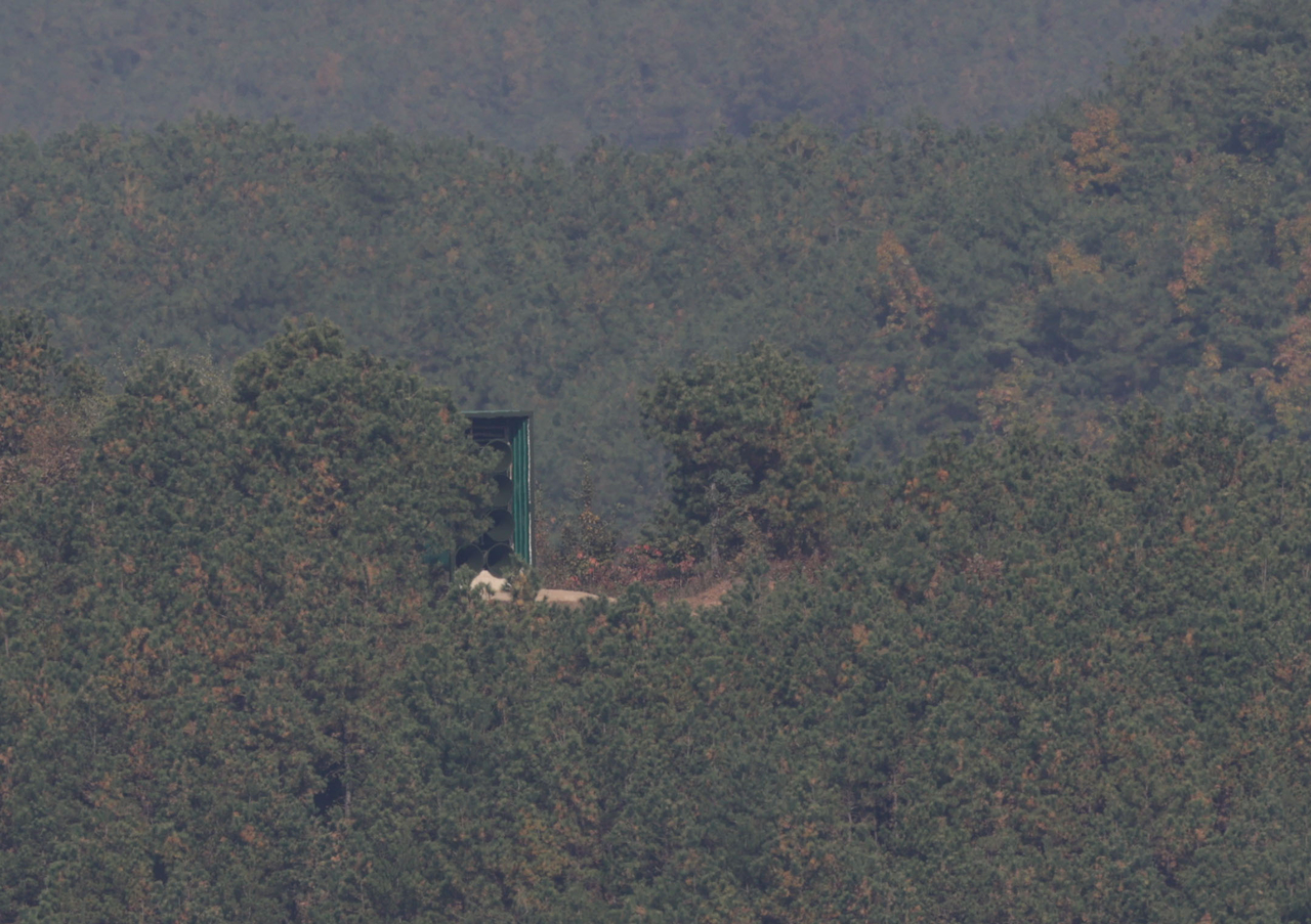 A loudspeaker aimed at South Korea is installed in North Korea’s border area in Kaepung County, North Hwanghae Province, as seen from Aegibong Observatory in Gimpo, Gyeonggi Province, on Oct. 27, 2026. (Yonhap)