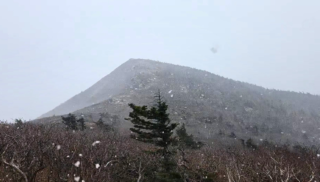 Snow falls in the area between Daecheongbong and Jungcheongbong in Seoraksan National Park on Thursday, in this photo provided by the Seoraksan National Park Office. (Yonhap)