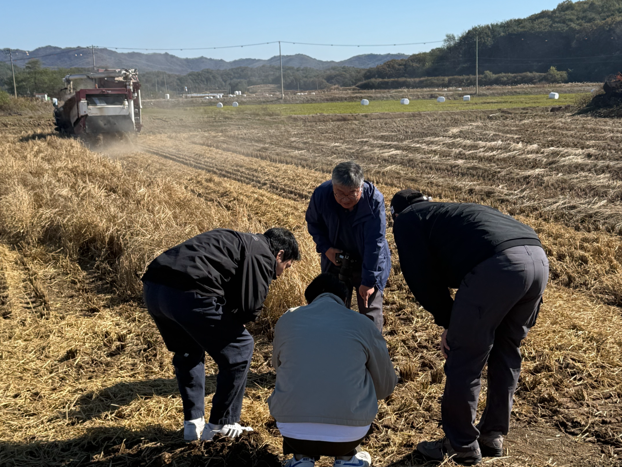 세계자연기금(WWF)이 강원도 철원군 민통선 안쪽에 자리한 논에서 철원두루미운영협의체와 함께 추진하는 ‘두루미 먹이벼 존치사업’ 현장.[WWF 제공]
