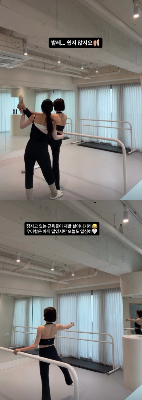 손담비 채널