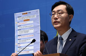 이런 정치