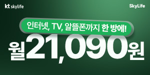 스카이라이프
