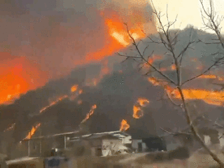 Uiseong wildfire becomes 3rd-largest forest fire in Korea's history