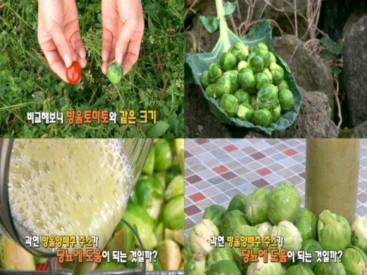 사진 = MBN 천기누설 방송 화면 캡처