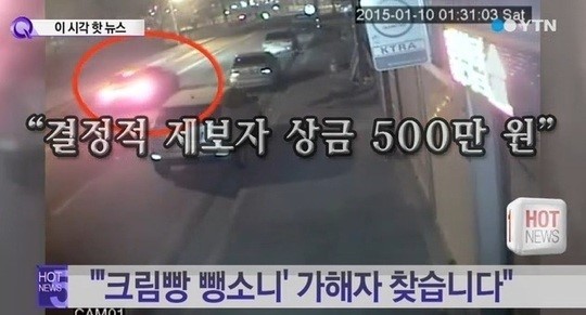 [사진=YTN 뉴스 화면 캡처]